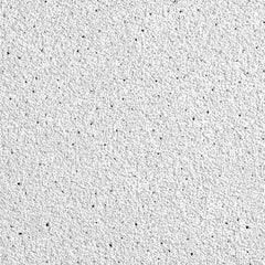 Ceiling Tiles; Color: White; Material: Wet-Formed Mineral Fiber; Length (Inch): 24; Width: 24; Grid Size (Inch): 15/16; Edge Type: Square; Texture: Fine; Noise Reduction Coefficient Rating: 0.50