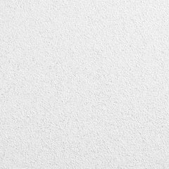 Ceiling Tiles; Color: White; Material: Wet-Formed Mineral Fiber; Length (Inch): 24; Width: 24; Grid Size (Inch): 15/16; Edge Type: Square; Texture: Fine; Noise Reduction Coefficient Rating: 0.75