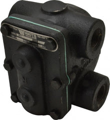 Watts - 4 Port, 3/4" Pipe, Cast Iron Float & Thermostatic Steam Trap - 15 Max psi - Exact Tooling