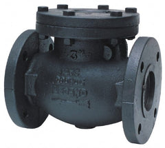 Legend Valve - 2-1/2" Cast Iron Check Valve - Inline, Flanged - Exact Tooling