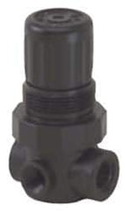 Norgren - 1/4 NPT, 150 Max Supply Pressure, Plastic Miniature Regulator, Pressure Gauge Not Included - Exact Tooling