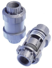 Plast-O-Matic - 1/4" PVC Check Valve - Inline, FNPT x FNPT, 150 WOG - Exact Tooling