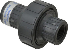 Plast-O-Matic - 3/4" PVC Check Valve - Inline, FNPT x FNPT, 150 WOG - Exact Tooling