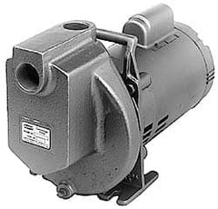 American Machine & Tool - 115/230 Volt, 1 Phase, 3/4 HP, Chemical Transfer Self Priming Centrifugal Pump - 1 Inch Inlet, Stainless Steel and Cast Iron Housing, Stainless Steel Impeller, 54 Ft. Shut Off, Viton Seal - Exact Tooling