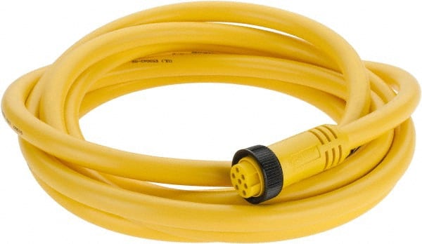 Brad Harrison - 8 Amp, Female Straight to Pigtail Cordset Sensor and Receptacle - 600 Volt, 3.66m Cable Length, IP67 Ingress Rating - Exact Tooling