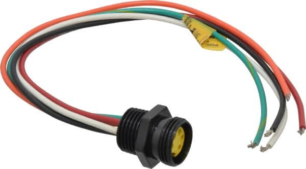 Brad Harrison - 8 Amp, Female Straight Receptacle - 600 VAC/VDC, 0.31m Cable Length, IP67 Ingress Rating - Exact Tooling
