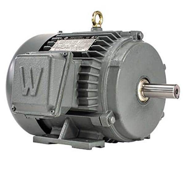 Worldwide Electric - Electric AC/DC Motors Motor Type: Premium Efficient Type of Enclosure: TEFC - Exact Tooling