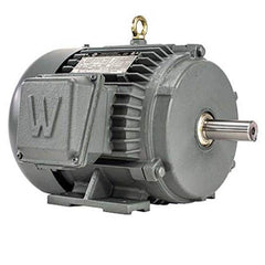 Worldwide Electric - Electric AC/DC Motors Motor Type: Premium Efficient Type of Enclosure: TEFC - Exact Tooling