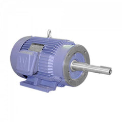 Worldwide Electric - Electric AC/DC Motors Motor Type: Premium Efficient Type of Enclosure: TEFC - Exact Tooling