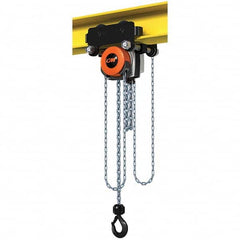 CM - 4,409 Lb Capacity, 10' Lift Height, Manual Chain Hoist - Exact Tooling