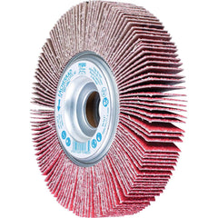 PFERD - Unmounted Flap Wheels; Abrasive Type: Coated ; Outside Diameter (Inch): 6 ; Face Width (Inch): 1 ; Center Hole Size (Inch): 1 ; Abrasive Material: Ceramic Oxide ; Grit: 40 - Exact Tooling