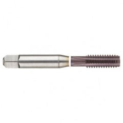 M6 x 1.0 Dia. - 6H - 4 FL - Cobalt Straight Flute Semi-Bott White Ring Tap - Firex - Exact Tooling