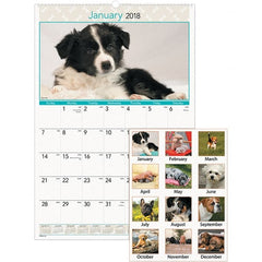 AT-A-GLANCE - 12 Sheet, 15-1/2 x 22-3/4", Wall Calendar - Puppies - Exact Tooling