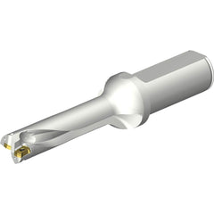 Sandvik Coromant - Indexable Insert Drills; Drill Style: DS20 ; Drill Diameter (mm): 17.50 ; Maximum Drill Depth (mm): 70.47 ; Shank Type: Straight ; Shank Diameter (mm): 25.0000 ; Cutting Direction: Right Hand - Exact Tooling