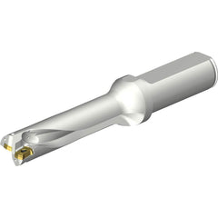 Sandvik Coromant - Indexable Insert Drills; Drill Style: DS20 ; Drill Diameter (mm): 16.50 ; Maximum Drill Depth (mm): 66.47 ; Shank Type: Straight ; Shank Diameter (mm): 20.0000 ; Cutting Direction: Right Hand - Exact Tooling