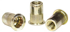 RivetKing - 0.13 to 0.225" Grip, Steel Standard Rivet Nut - Zinc Yellow Dichromate Finish, Flange Head - Exact Tooling