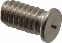 Bettermann - 1/4-20, Stainless Steel Threaded Flanged Studs - 1/2 Inch Overall Length - Exact Tooling
