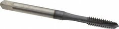 Accupro - #10-24 UNC, 3 Flute, TiCN Finish, Powdered Metal Spiral Point Tap - Plug Chamfer, Right Hand Thread, 2-3/8" OAL, 2B/3B Class of Fit - Exact Tooling