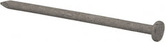 Value Collection - 10D, 9 Gauge, 3" OAL Common Nails - Ring Shank, Grade 2 Steel, Galvanized Finish - Exact Tooling