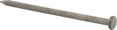 Value Collection - 16D, 8 Gauge, 3-1/2" OAL Common Nails - Ring Shank, Grade 2 Steel, Galvanized Finish - Exact Tooling