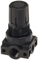 Parker - 3/8 NPT Port, Plastic Miniature Regulator - 0 to 60 psi Range, 150 Max psi Supply Pressure, 1/4" Gauge Port Thread, 2.06" Wide x 3.43" High - Exact Tooling