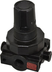 Parker - 1/4 NPT Port, Plastic Miniature Regulator - 0 to 25 psi Range, 150 Max psi Supply Pressure, 1/4" Gauge Port Thread, 2.06" Wide x 3.43" High - Exact Tooling