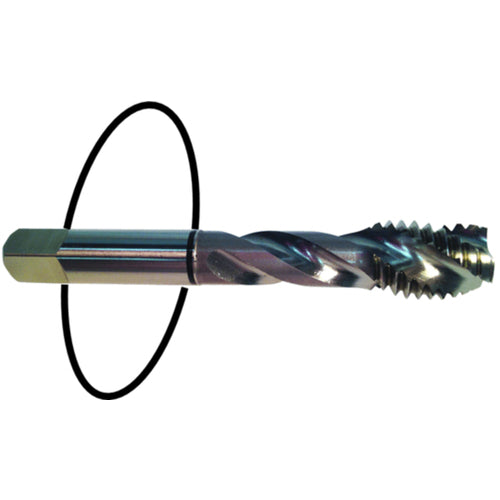 8-32 Dia-H3-2 FL-Std Spiral Point Tap - Black Ring - Exact Tooling