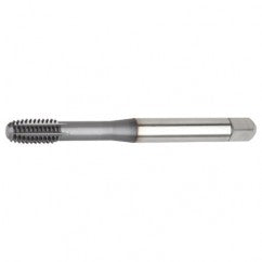 10-24 H6 - Bottoming Hand Tap - Exact Tooling