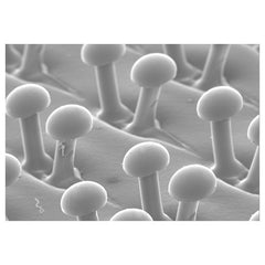 3M Disc Pad Holder 923 3″ 1/4″ Shank - Exact Tooling