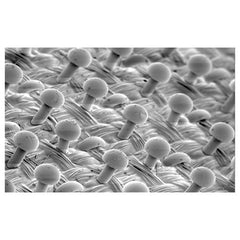 3M Clean Sanding Soft Interface Disc Pad 20278 5″ × 1/2″ × 3/4″ Multihole - Exact Tooling