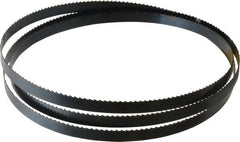 Starrett - 6 TPI, 6' 9" Long x 1/2" Wide x 0.025" Thick, Welded Band Saw Blade - Carbon Steel, Toothed Edge, Raker Tooth Set, Flexible Back, Contour Cutting - Exact Tooling