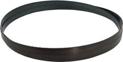 Starrett - 8 TPI, 10' Long x 3/4" Wide x 0.032" Thick, Welded Band Saw Blade - Carbon Steel, Toothed Edge, Raker Tooth Set, Flexible Back, Contour Cutting - Exact Tooling