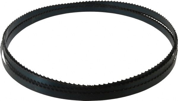 Starrett - 3 TPI, 19' 8" Long x 3/4" Wide x 0.032" Thick, Welded Band Saw Blade - Carbon Steel, Toothed Edge, Raker Tooth Set, Flexible Back, Contour Cutting - Exact Tooling