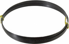 Starrett - 10 TPI, 8' 2-1/2" Long x 5/8" Wide x 0.032" Thick, Welded Band Saw Blade - Carbon Steel, Toothed Edge, Raker Tooth Set, Flexible Back, Contour Cutting - Exact Tooling