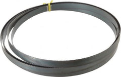 Starrett - 10 TPI, 14' 6" Long x 3/4" Wide x 0.032" Thick, Welded Band Saw Blade - Carbon Steel, Toothed Edge, Raker Tooth Set, Flexible Back, Contour Cutting - Exact Tooling
