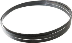 Starrett - 10 TPI, 7' 11" Long x 1/2" Wide x 0.025" Thick, Welded Band Saw Blade - Carbon Steel, Toothed Edge, Raker Tooth Set, Flexible Back, Contour Cutting - Exact Tooling