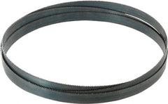 Starrett - 10 TPI, 8' 2" Long x 3/4" Wide x 0.032" Thick, Welded Band Saw Blade - Carbon Steel, Toothed Edge, Raker Tooth Set, Flexible Back, Contour Cutting - Exact Tooling