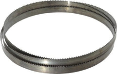 Disston - 6 TPI, 7' 9" Long x 3/4" Wide x 0.032" Thick, Welded Band Saw Blade - Carbon Steel, Toothed Edge, Raker Tooth Set, Flexible Back, Contour Cutting - Exact Tooling
