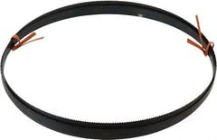 Disston - 10 TPI, 8' 9" Long x 1/2" Wide x 0.025" Thick, Welded Band Saw Blade - Carbon Steel, Toothed Edge, Raker Tooth Set, Flexible Back, Contour Cutting - Exact Tooling