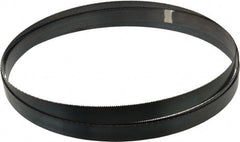 Disston - 10 TPI, 11' 6" Long x 1" Wide x 0.035" Thick, Welded Band Saw Blade - Carbon Steel, Toothed Edge, Raker Tooth Set, Flexible Back, Contour Cutting - Exact Tooling