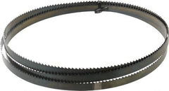 M.K. MORSE - 6 TPI, 6' 8" Long x 1/2" Wide x 0.025" Thick, Welded Band Saw Blade - High Carbon Steel, Toothed Edge, Raker Tooth Set, Flexible Back, Contour Cutting - Exact Tooling