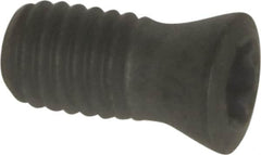 Seco - Torx Plus Lock Screw for Indexables - Exact Tooling