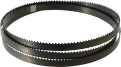 Disston - 6 TPI, 5' 4-1/2" Long x 1/2" Wide x 0.025" Thick, Welded Band Saw Blade - Carbon Steel, Toothed Edge, Raker Tooth Set, Hard Back, Contour Cutting - Exact Tooling