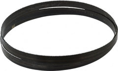Disston - 10 TPI, 8' Long x 3/4" Wide x 0.032" Thick, Welded Band Saw Blade - Carbon Steel, Toothed Edge, Raker Tooth Set, Hard Back, Contour Cutting - Exact Tooling