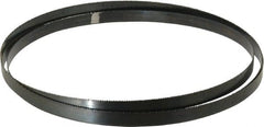 Disston - 10 TPI, 10' 10-1/2" Long x 3/4" Wide x 0.032" Thick, Welded Band Saw Blade - Carbon Steel, Toothed Edge, Raker Tooth Set, Hard Back, Contour Cutting - Exact Tooling