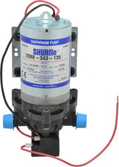 Pentair - 1/12 HP, 1/2 Inlet Size, 1/2 Outlet Size, Demand Switch, Diaphragm Spray Pump - 12 Input Voltage, Polypropylene, 3.00 Max GPM - Exact Tooling