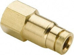 Parker - 1/4" Outside Diam, 1/4 NPTF, Brass Push-to-Connect Tube Female Connector - 250 Max psi, Tube to Female NPT Connection, Buna-N O-Ring - Exact Tooling