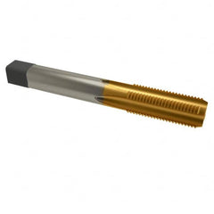 Cleveland - 3/4-10 UNC 4 Flute TiN Finish High Speed Steel Straight Flute Standard Hand Tap - Bottoming, Right Hand Thread, 4-1/4" OAL, 2" Thread Length, H3 Limit, Oversize - Exact Tooling