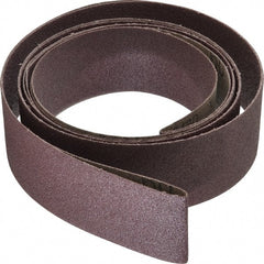 3M - 2" Wide x 132" OAL, 60 Grit, Aluminum Oxide Abrasive Belt - Aluminum Oxide, Medium, Coated, X Weighted Cloth Backing, Series 341D - Exact Tooling