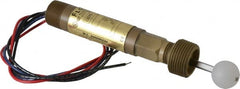 Dwyer - 1" Thread, 1,000 Max psi, 220°F Max, Liquid Level Float - 0.9 Float SG, Stainless Steel Stem - Exact Tooling